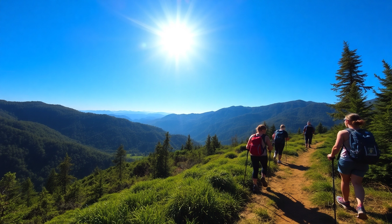 Hiking enthusiasts trekking through scenic natural landscapes, enjoying outdoor adventure.